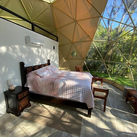 ホテル Way To Heaven Glamping モンテベルデ エクステリア 写真