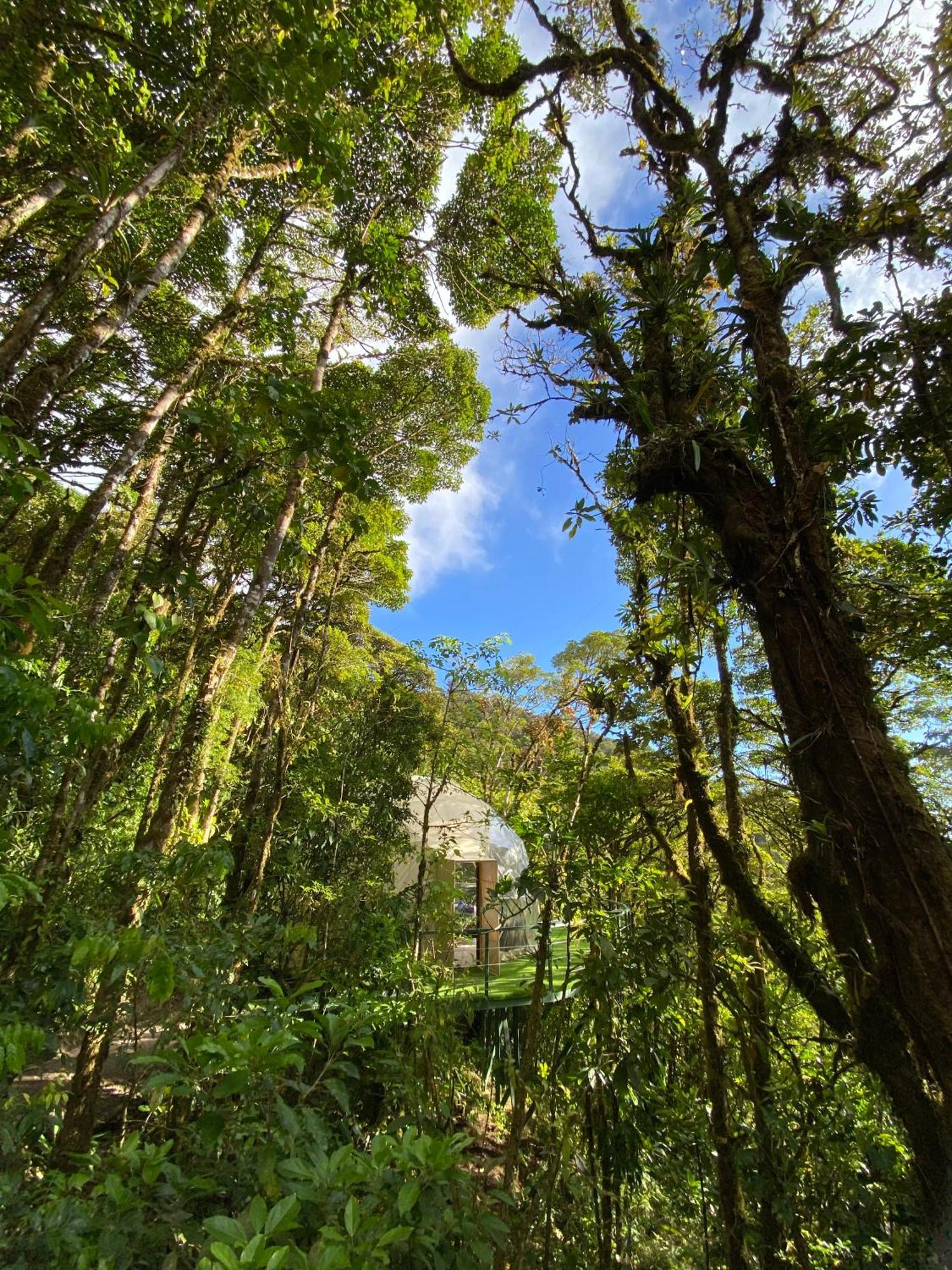 ホテル Way To Heaven Glamping モンテベルデ エクステリア 写真